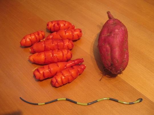 Yams and Sweet Potatoes