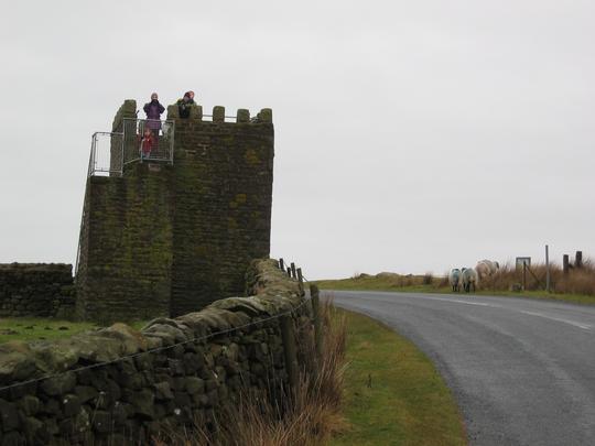 Lookout Tower