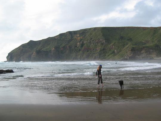 Bethell's Beach, New Zealand