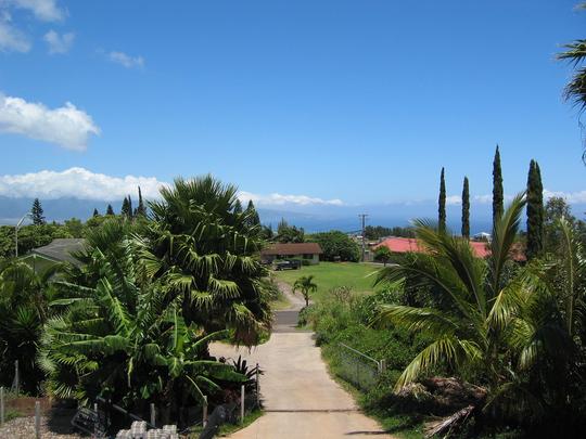 Bedroom view, Makawao, Maui