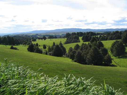 Kerikeri Pastures 2