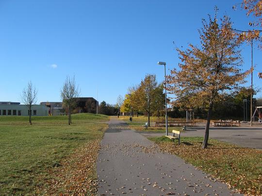 Foot path to grocery store in Ryd