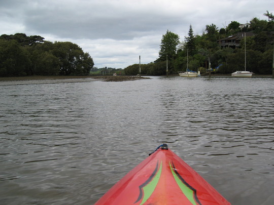 Kyaking Kerikeri