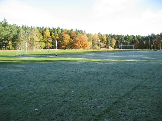 Frosty grass field, Linköping