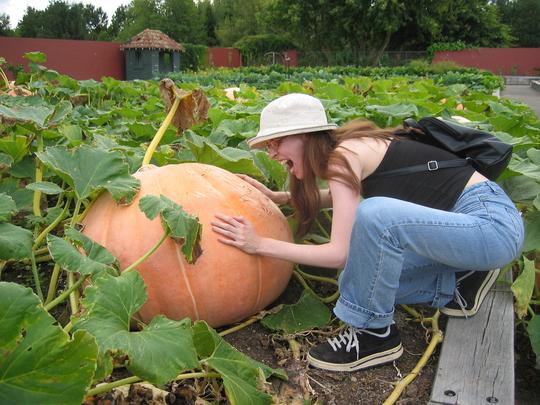 Clare and the Giant Pumpkin