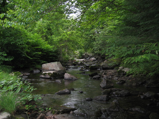 Hanover Stream, New Hampshire